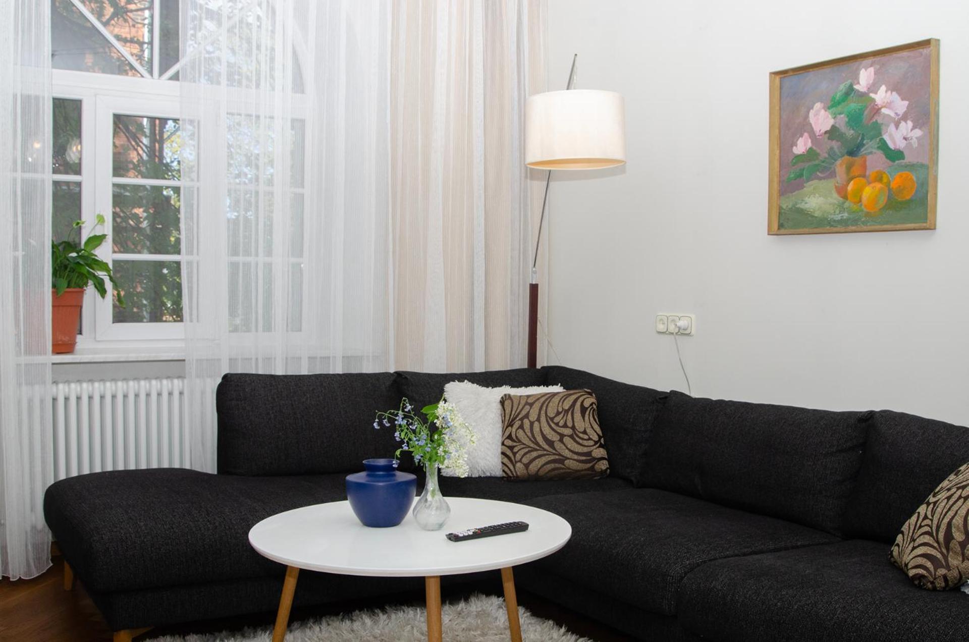 Large 3-room In A Historic House Huoneisto *