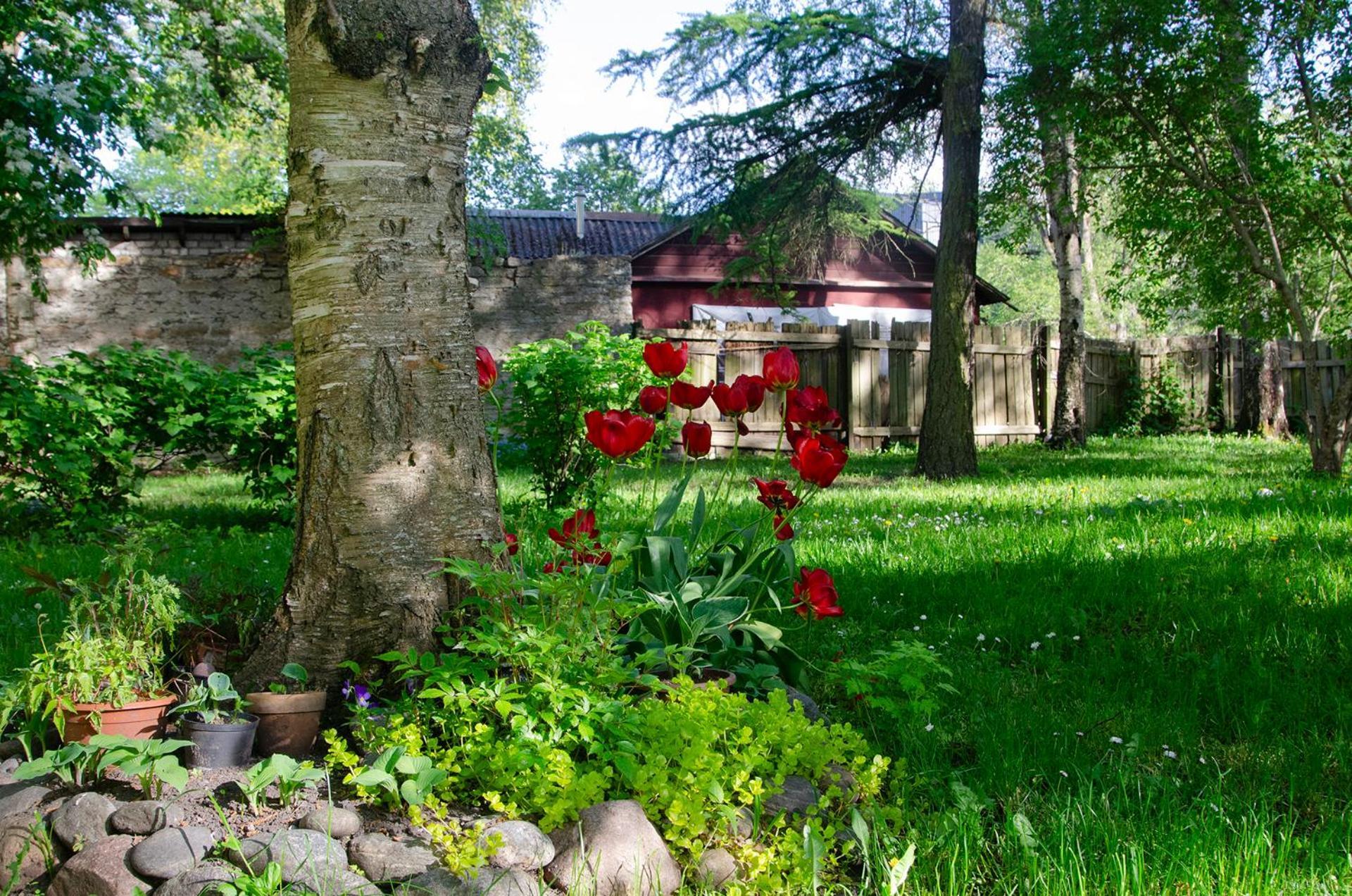 Large 3-room In A Historic House * Tallinna